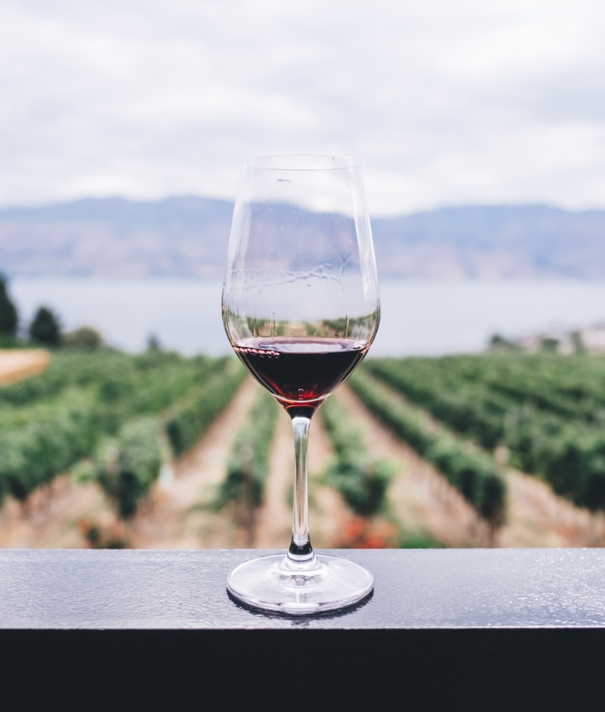 Les vins bulgares